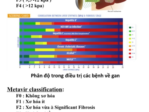 BỆNH VIỆN ĐA KHOA SÀI GÒN BÌNH DƯƠNG TRIỂN KHAI ĐO ĐỘ ĐÀN HỒI GAN ĐỊNH LƯỢNG BẰNG MÁY SIÊU ÂM ESAOTÉ 8 EXP BẰNG PHẦN MỀM QELAXTO 3D TRÊN GAN.