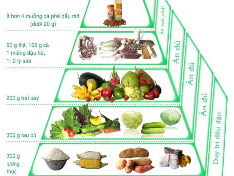 THÁP DINH DƯỠNG VÀ 10 LỜI KHUYÊN DINH DƯỠNG HỢP LÝ